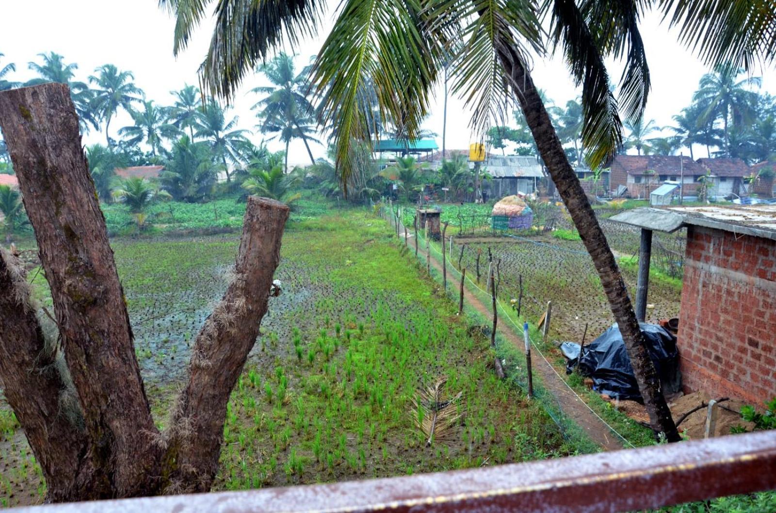 Kenchas Beach Resort Gokarna  Kültér fotó