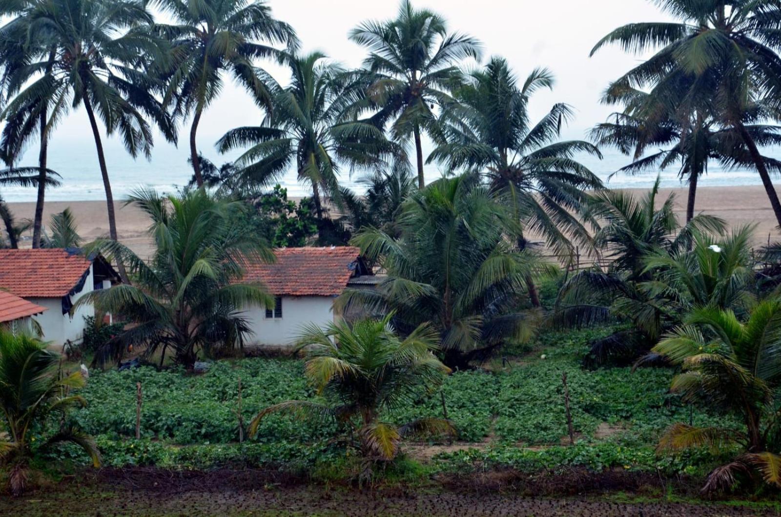 Kenchas Beach Resort Gokarna  Kültér fotó